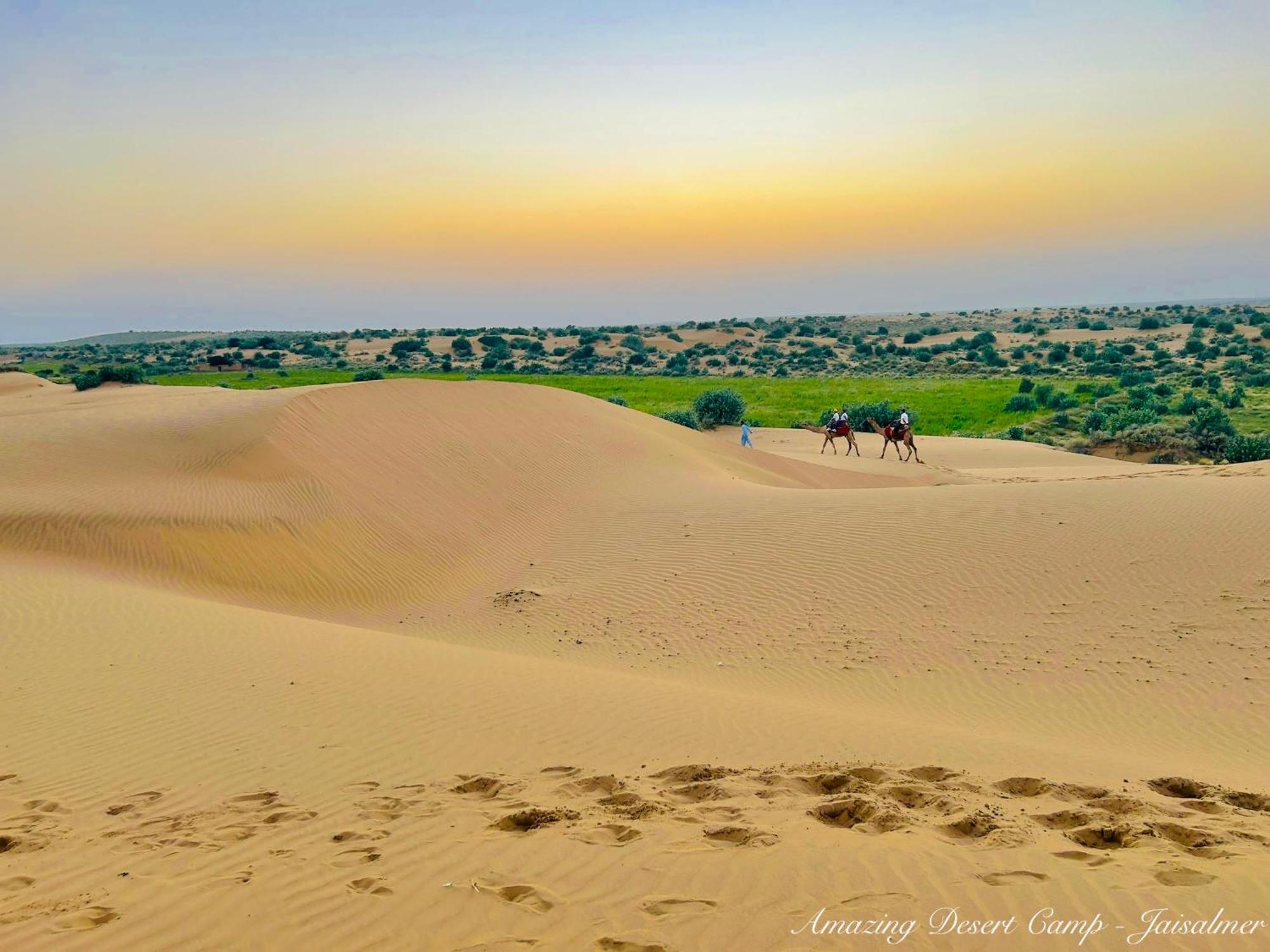 Amazing Desert Camp Džaisalmér Exteriér fotografie